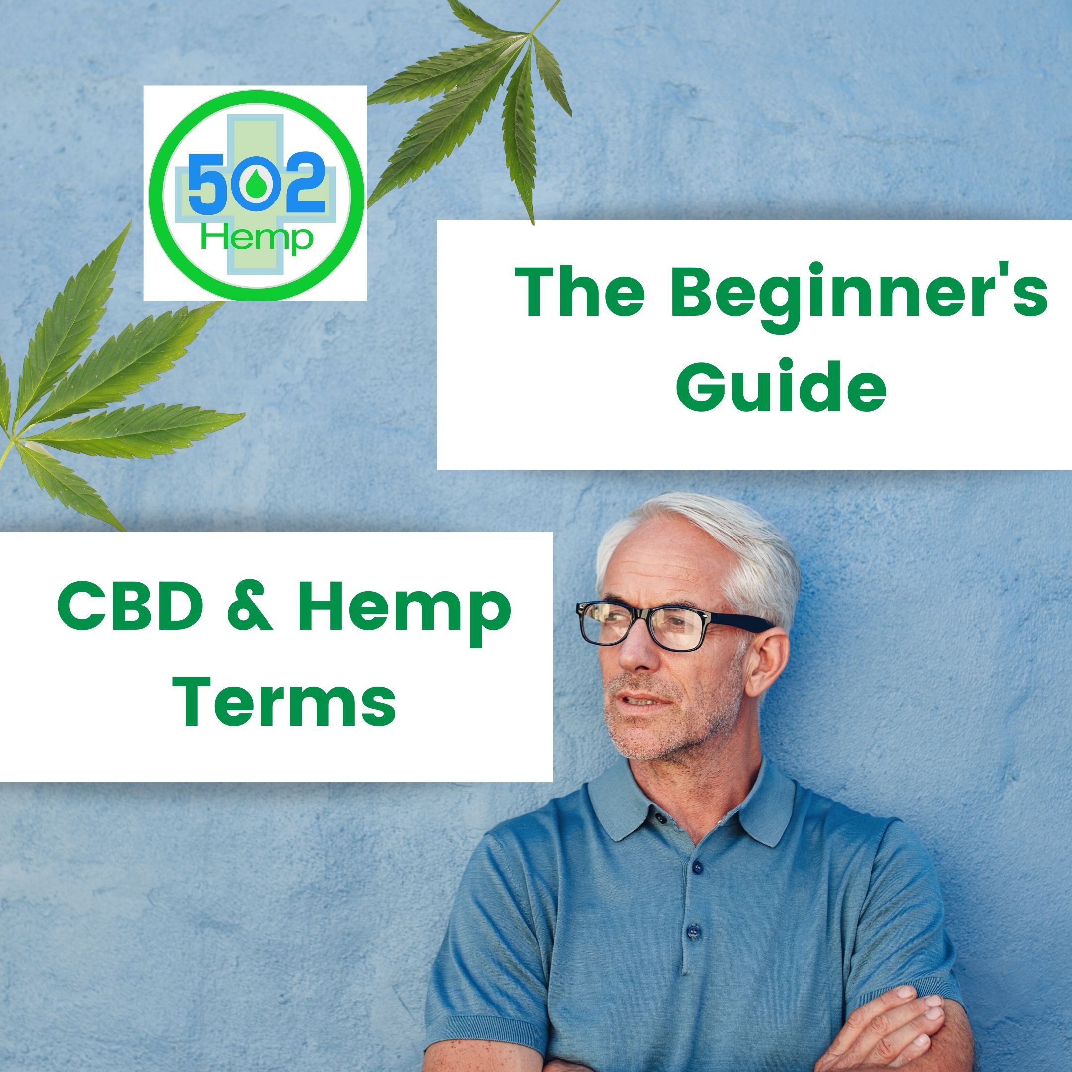 The Beginners Guide Cbd And Hemp Terms 812 Hemp 5672