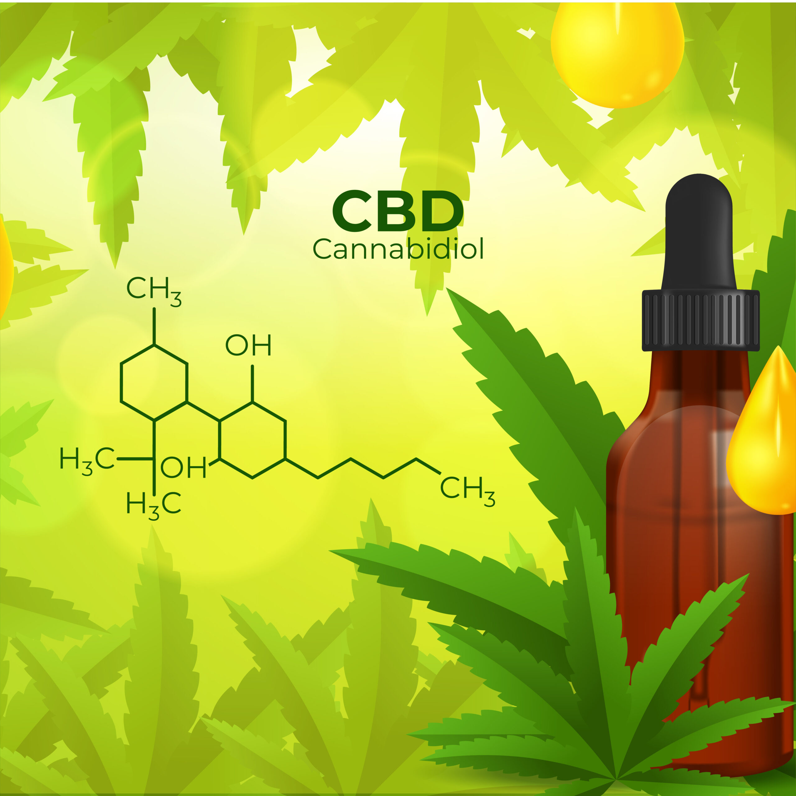 You are currently viewing The Complex Relationship Between CBD and the Endocannabinoid System (ECS)