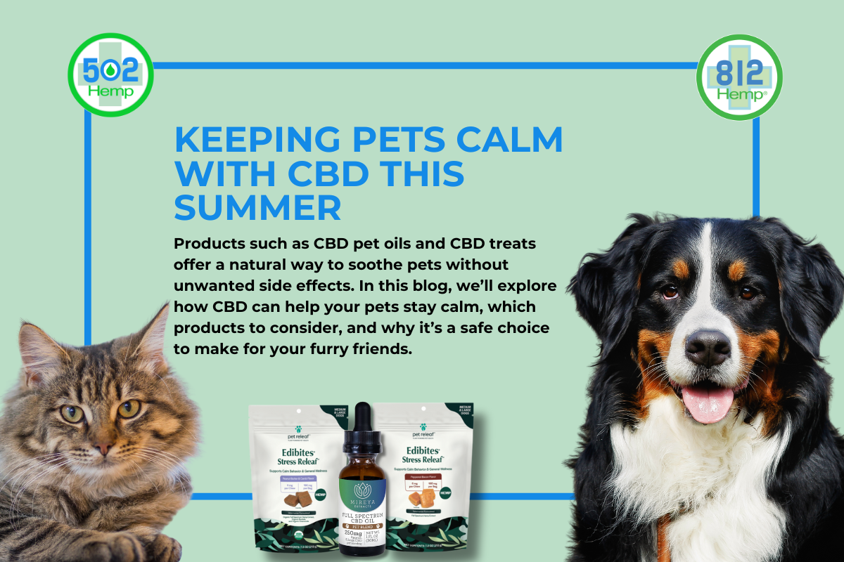 You are currently viewing Keeping Pets Calm with CBD This Summer