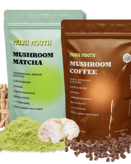Mush Mouth – Mushroom Coffee and Matcha
